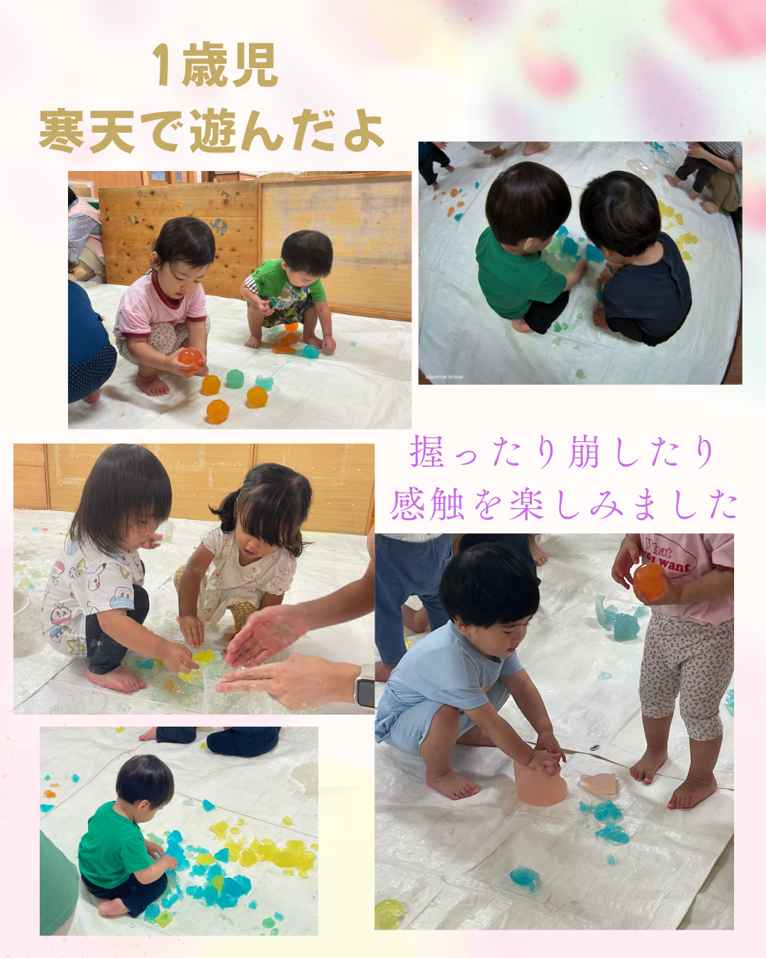 1歳児 寒天で遊んだよ (1).png